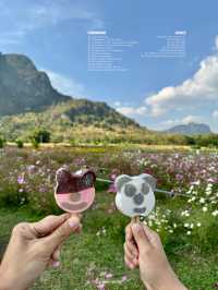 21 พิกัดเที่ยวจันทบุรี-สระแก้ว 🏡⛰️🌼🌿