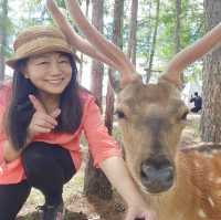 我在呼倫貝爾草原望北京
