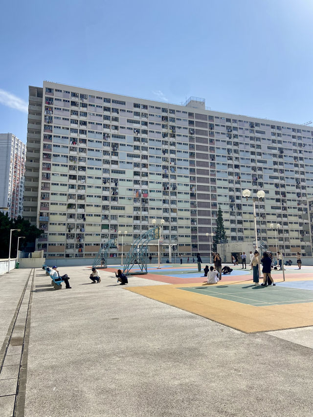 🌈彩虹邨|香港一道歷史悠久的「幸運彩虹」🥰🏘️  🌈彩虹邨|香港一道歷史悠久的「幸運彩虹」🥰🏘️