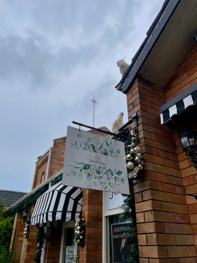 🇦🇺호주 낭만적인 동화 속 마을 "Leura" 🪽🕊️