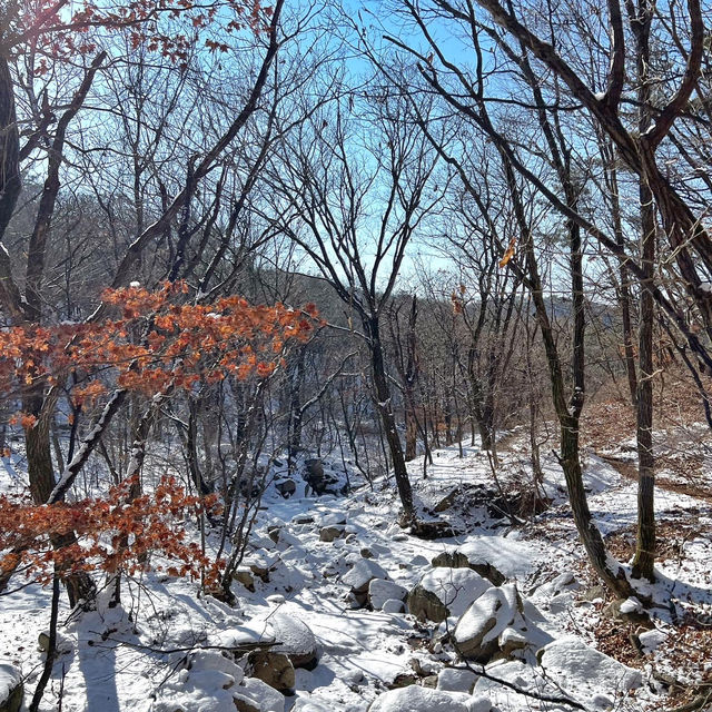 겨울에만 볼수있는 풍경! 녹기전에 가보세요 사패산 원각폭포❄️