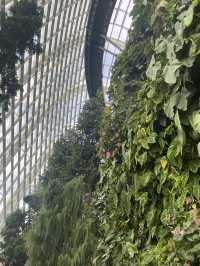 โดมยักษ์ Cloud Forest 🍃