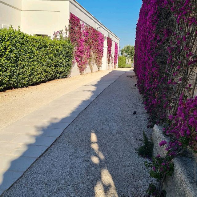 Masseria Torre Maizza, Puglia
