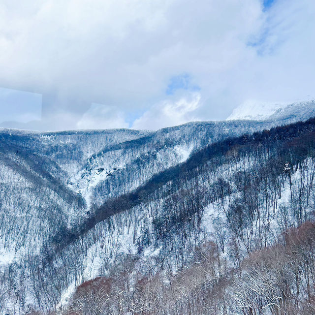 日本｜冬季限定絕景—藏王樹冰