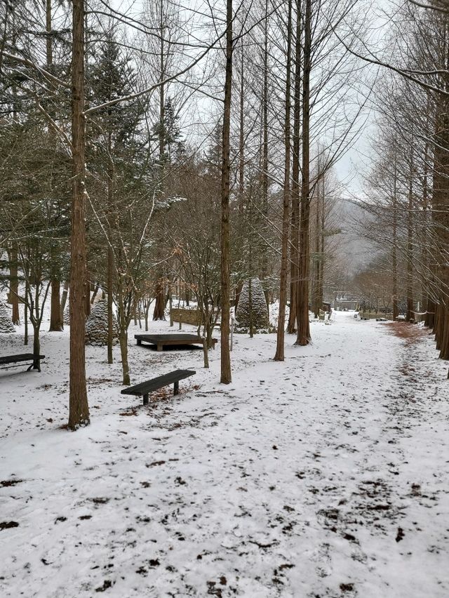 눈썰매장도 개장한 대전 겨울여행지