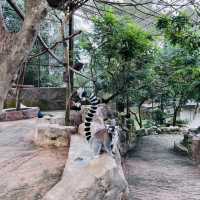 Bentong Farm Natural Gems 
