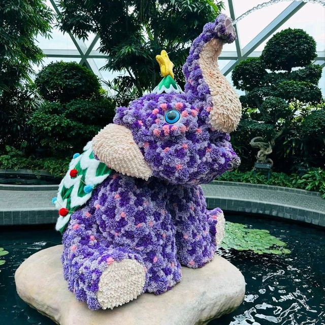 "Petal Paradise" – Wander through blooming beauty at the Petal Garden.