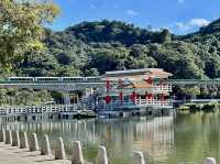 台北大湖公園-碧綠的湖水、豐富的生態環境、四周綠意盎然