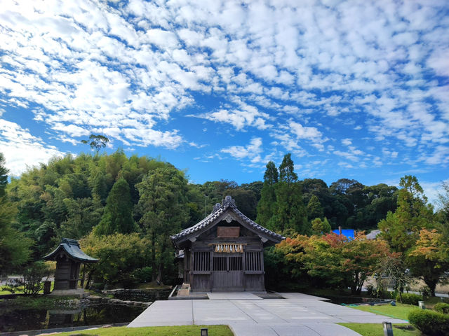 福岡 -  太宰府天滿宮的心靈之旅 🌸✨