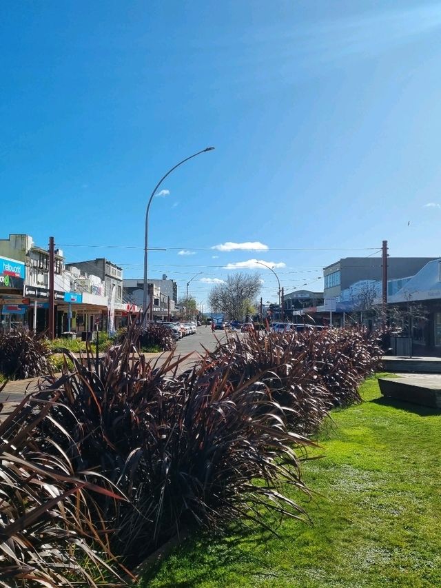 고요한 마을에서 마주한 로토루아 호수(Rotorua Lake)🇳🇿
