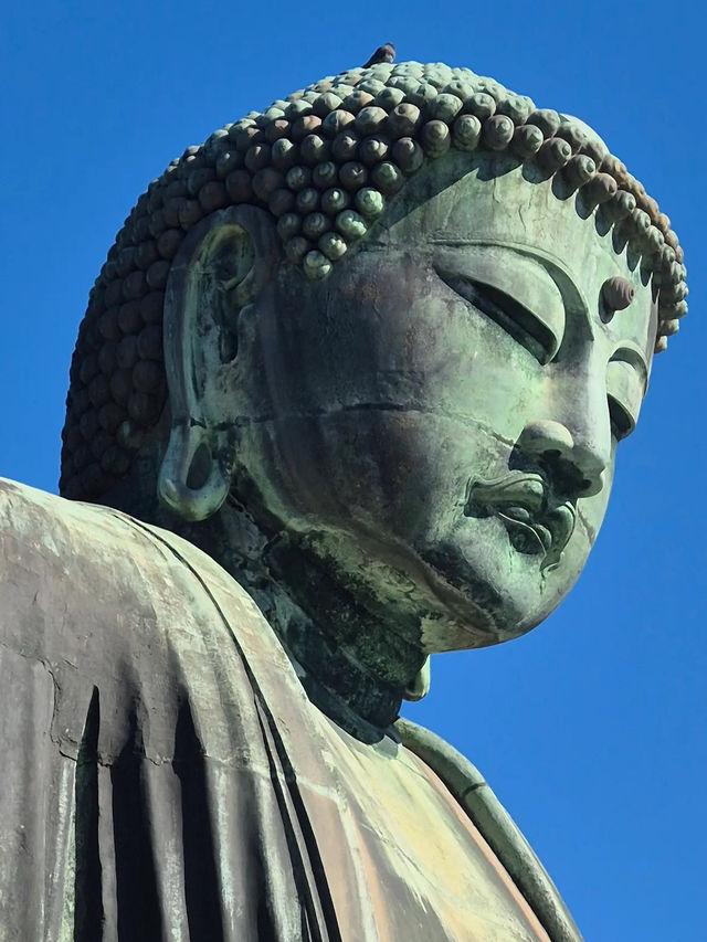 Kotoku-in