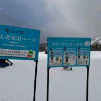 Ski Lessons at Hoshino Resorts Tomamu