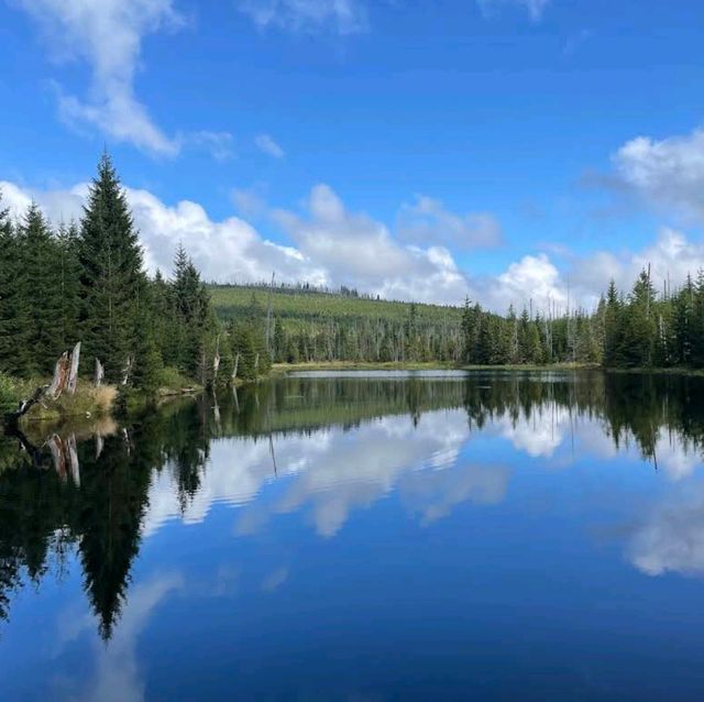 Bavarian Forest National Park