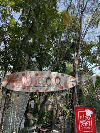 ABOUT COCO CAFÉ & BISTRO คาเฟ่นครปฐม