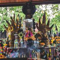🐉ดินแดนดญานาค วัดป่าคลอง11  จ.ปทุมธานี