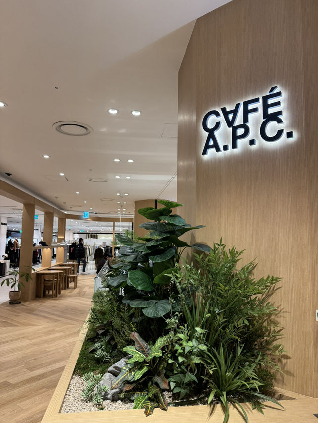 韓国/ソウル【新村】APCカフェ