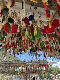 A Day in Paradise: Exploring the Serenity of Potatso National Park in Shangri-La