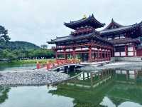 大阪-->平等院一天遊