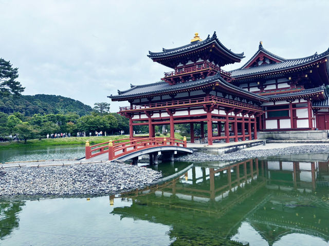 大阪-->平等院一天遊