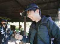 หมู่บ้านซ่างไห วิถีการต้มเหล้าทอผ้าเมืองลาว