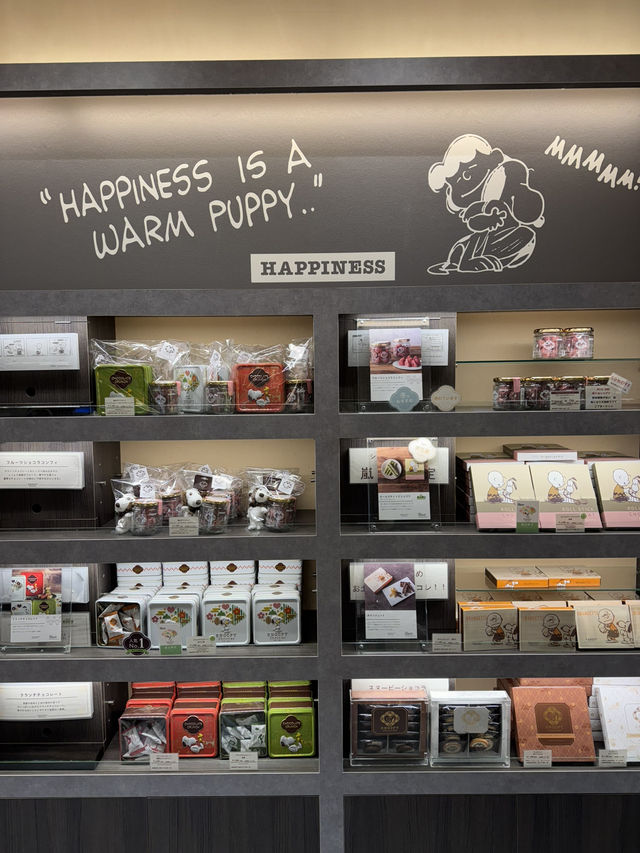 Cuteness Snoopy Chocolat in Arashiyama, Kyoto
