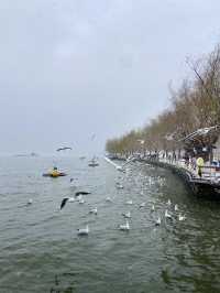 🥰☃️白雪浪漫～昆明滇池必去海埂公園🕊️🌊