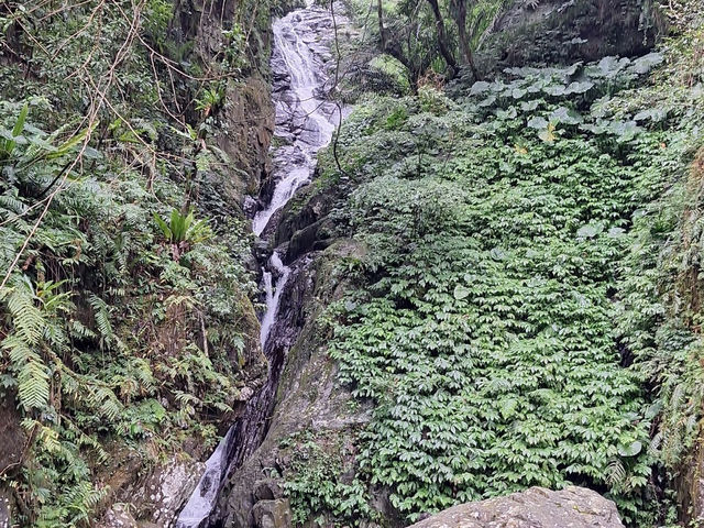 信賢步道看瀑布群輕鬆走