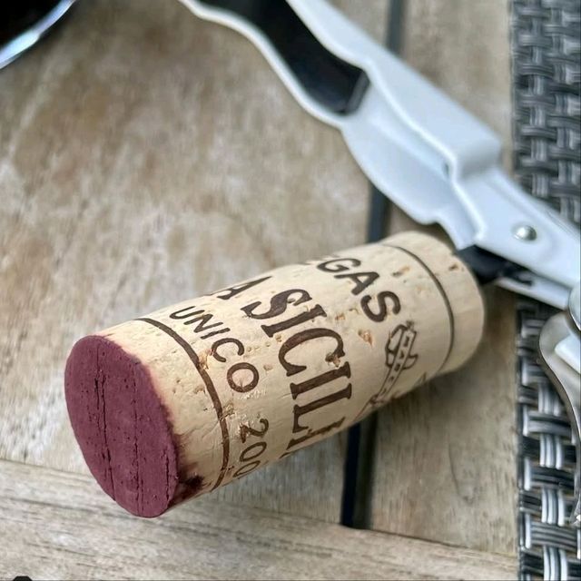 西班牙酒王 Vega Sicilia 酒莊遊