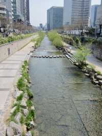 A Peaceful Stroll Through Seoul: Discovering Cheonggyecheon