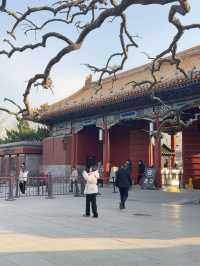 Jinshan Park🌳🏰