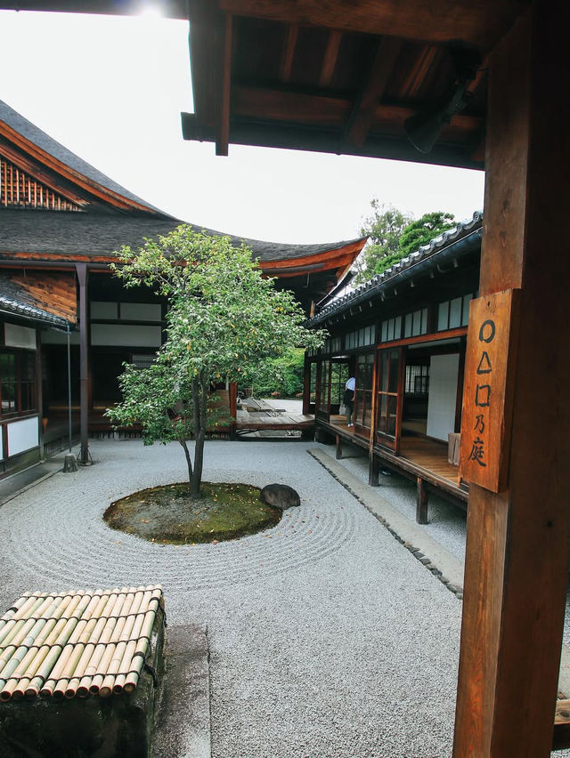【京都】お庭が美しすぎるお寺へ