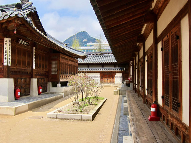 Stepping Into Seoul’s Royal Past: Gyeongbokgung Palace