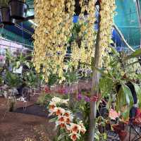 งานมีจฉาบานตำนานเขาสมิงครั้งที่4
