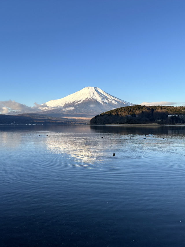 景點推薦：山中湖——富士山下的浪漫湖畔時光