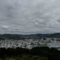 웰링턴 3박4일 여행 숨은 명소 추천!