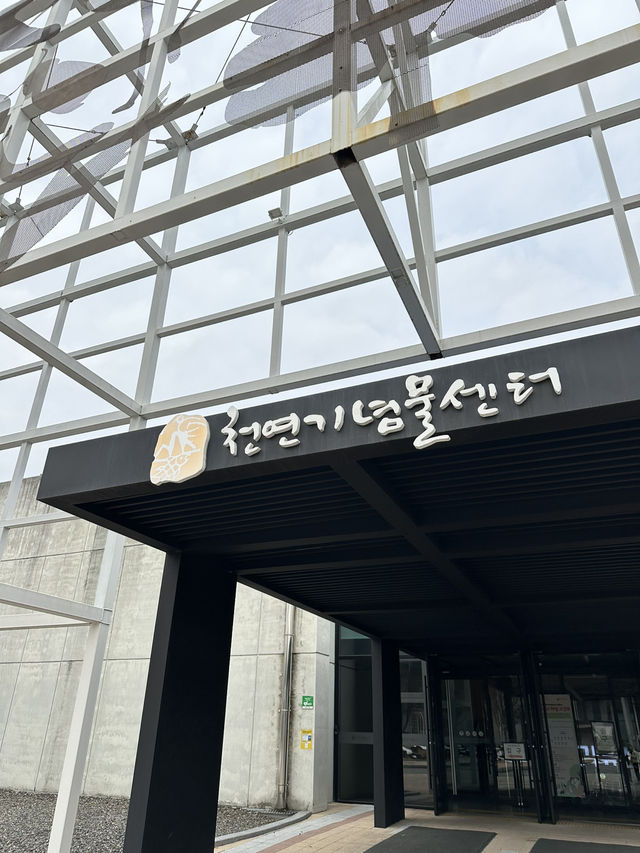추운겨울에 가면 더 좋은 대잔여행지