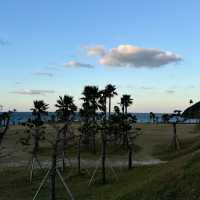 제주 동쪽 에메랄드 바다와 푸르른 해변 추천 🏖️함덕해수욕장