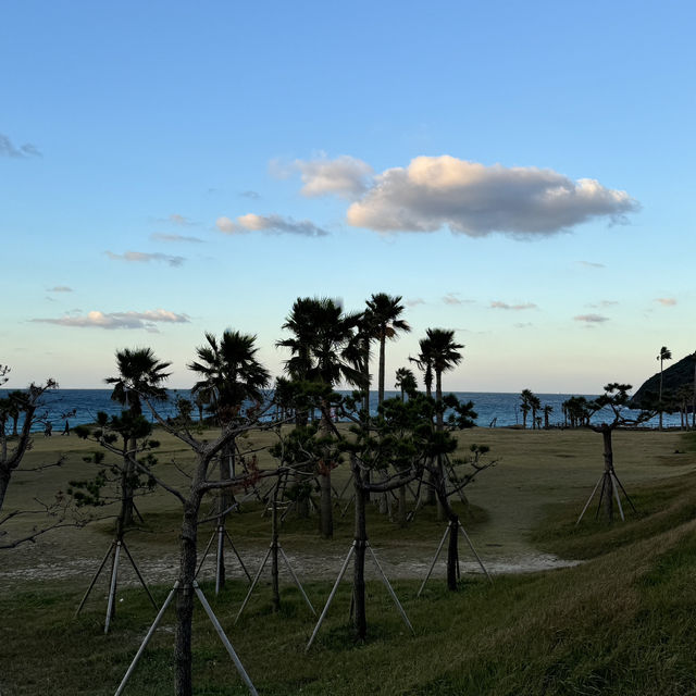 제주 동쪽 에메랄드 바다와 푸르른 해변 추천 🏖️함덕해수욕장