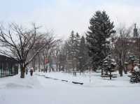 Winter Wonderland in Hokkaido