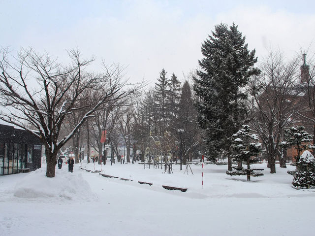 Winter Wonderland in Hokkaido