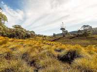 Cradle Mountain, Tasmania