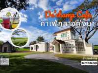 พามานั่งชิล บรรยากาศโรแมนติก กลางทุ่งนาสิงห์บุรี