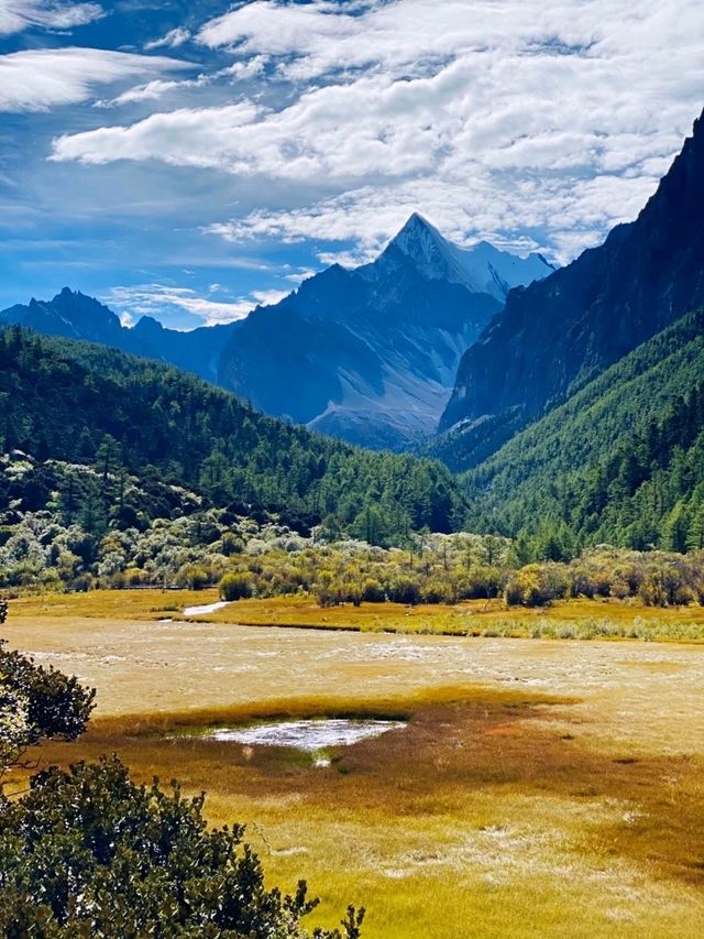 ✨The last Shangri-la of China