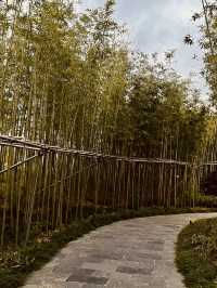 🇨🇳 Shanghai's Secret Garden: Escape the Crowds at Expo Cultural Park