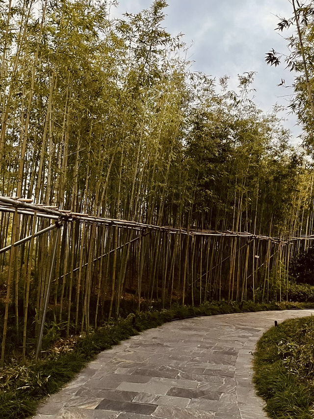 🇨🇳 Shanghai's Secret Garden: Escape the Crowds at Expo Cultural Park
