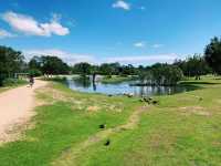 Moonlit Sanctuary: A Magical Wildlife Encounter