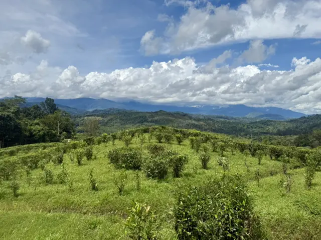 Getaway in Sabah: Stunning Views, Unforgettable Memories!