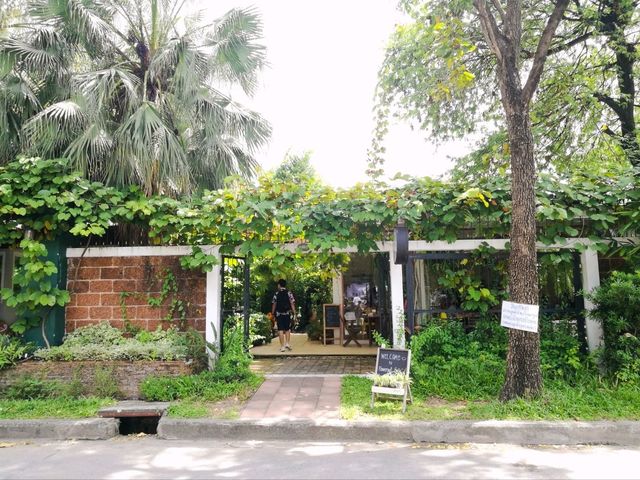 FlowerPot Café Ramkhamhaeng 21 คาเฟ่กรุงเทพ