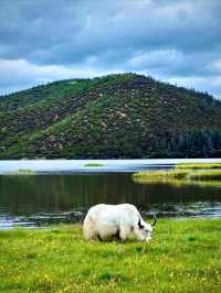 Uncover the Beauty of Pudacuo National Forest Park