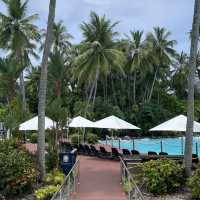 【オーストラリア】楽園リゾート！シェラトン・グランド・ミラージュ・ポートダグラス 🏝️✨ 